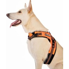 Hıkıng Reflektörlü Soft Göğüs Tasması Orange (S)