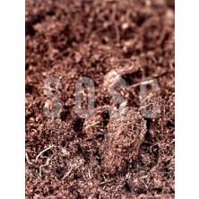 Ithal Sphagnum Bitki Yetiştirme Torfu - Böcek Sinek Yapmaz Premium Kalite 3 Lt