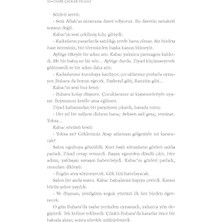 Bey Kızıl Kaftan Son Direniş - Ömer Çağlar Yılmaz