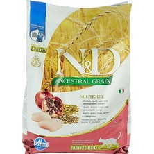 Ancestral Grain Kedi Maması, Kuru Mama, Tavuk, Kılçıksız Buğday, Yulaf ve Narlı, Kısırlaştırılmış, 5 kg