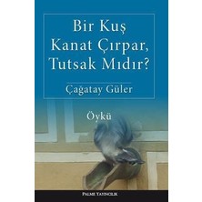 Palme Yayınevi Bir Kuş Kanat Çirpar, Tutsak Midir?
