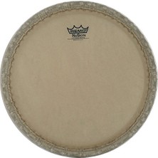 11.75'' Conga Derisi