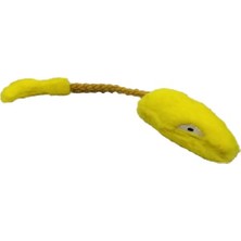 Evcil Hayvan Oyuncakları, Karnaval, Yılan