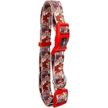 Köpek Boyun Tasması – Geri Dönüştürülmüş, Ayarlanabilir, Emniyet Tokalı – Küçük ve Büyük Irklar Için – Tüy Toplamaz, Yıkanabilir, Airtag & Isimlik Uyumlu,paws Small