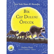 Bey Bir Cep Dolusu Öpücük