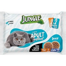 4 x 100 gr Çift Lezzet Pouch Yetişkin Kedi Ton - Somonlu