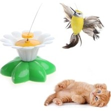 Hareketli Kedi Oyuncağı Dönen Kuş Başlıklı (Pille Çalışır)