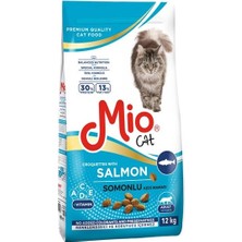 12 kg Kuru Mama - Kedi - Somonlu