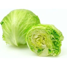 Marul Iceberg (Çoklu Tohum) - 3 Gram