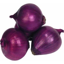 Mor Soğan (Çoklu Tohum) - 3 Gram
