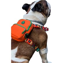Design, Gimme Five, Turuncu Çantalı Göğüs Tasması,köpek Sırt Çantası – Göğüs Tasması Işlevli, Geri Dönüştürülmüş Malzeme, Ayarlanabilir,