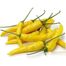 Biber Süs Sarı (Çoklu Tohum) - 3 Gram