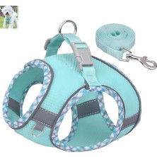 Küçük Köpek Tasması ve Tasması, Kolay Yürüyüş Köpek Yeleği, S Beden Ayarlanabilir Reflektif Nefes Alabilir File Küçük Orta Boy Köpekler ve Yavrular Için (Yeşil)