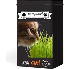 Evde Kolay Yetiştirme – Pomponet Kedi Çimi ile Yıl Boyu Yeşillik!