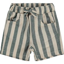 Civil Baby Çizgili 6-18 Ay Şort - Yeşil