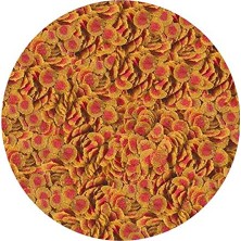 Tetra Pro Colour 250GR - Kovadan Bölme