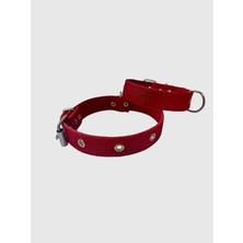 Küçük Boy Yavru Köpekler Için Tasma Kırmızı 40"