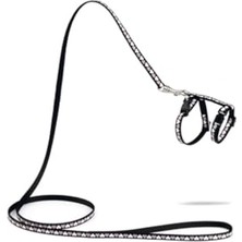 Yavru Kedi Göğüs Tasması ve Gezdirme Kayışı 120CM, Siyah, 16-25CM Boyun, 23-36CM Göğüs