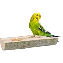 Doğal Ağaç Kuş Tüneği ve Yemlik Kütük Tünek