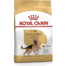 Royal Canin German Shepherd Adult Köpek Maması, 11 kg