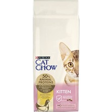 Tavuklu Yavru Kedi Maması - 15 kg