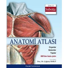 Palme Yayınevi Anatomi Atlası Ünlü Sobotta Çizimleri Yeni
