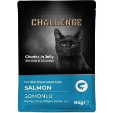 Konserve Kedi Pouch Somon Kısır 85 gr
