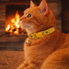 Kedi Boyun Tasması Zilli ve Ayarlanabilir Sarı