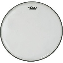 14'' Diplomat Hazy Trampet Derisi