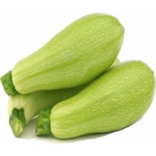 Kabak Dolmalık (Çoklu Tohum) - 10 Gram