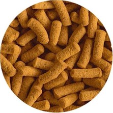 Tetra Cichlid Sticks Doromin 500GR - Kovadan Bölme