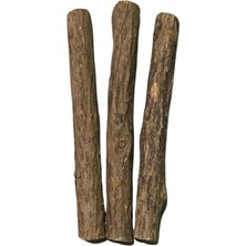 Pawdaz Matatabi - Stick Diş Temizlemeye ve Stres Gidermeye Yardımcı Doğal Oyuncak