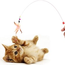 Kedi Oyun Oltası, Renkli Kedi Oyuncağı, Elastik Tüylü Pelüş Kedi Oyuncak, Kedi Oltası Tüylü, Olta Eğitim Oltası(1 Adet)