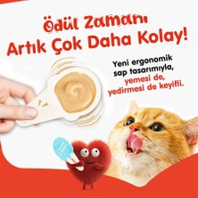 Somonlu 10 * 16 gr Kaşıklı Kedi Ödül Kreması
