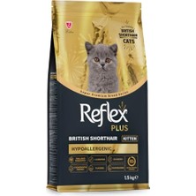 Plus British Shorthair Yavru Kedi Maması 1.5 kg