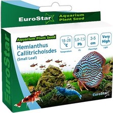 Hemianthus Callitrichoides Akvaryum Bitkisi Tohumu          [enerji Sınıfı A]
