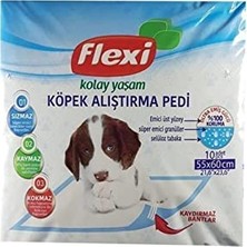 Köpek Alıştırma Pedi Kaydırmaz Bantlı 10'lu