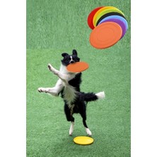 Tineke Dayanıklı Silikon Frizbi Köpek Oyuncağı Esnek ve Güvenli Yakalama Oyunu Diski 17.5 cm 1 Adet