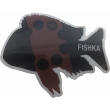 Akvaryum Yapışkan Tropheus Balığı Derece