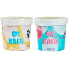 Çocuk Hobi Bitkileri Ot Kafa Paketi (Asorti)