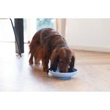 Yavru Köpek Mama Yeme Oyuncağı, Silikon, Açık Mavi, 19CM