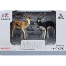 Tufy Toys Antilop Figür Seti-Doğa Temalı Model Hayvan Oyuncak