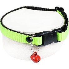 Neon Zilli Kedi Tasması Fıstık Yeşili Boyun Tasma Ayarlı