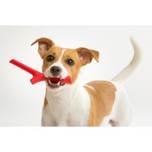 Divona Home Tuttomio Baby Ikili Köpek Oyuncağı