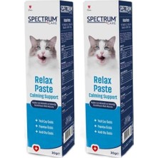 Care Sakinleştirici Malt Paste 30 Gram (2 Paketi)