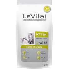 Lavital Somonlu Yavru Kedi Maması 12KG