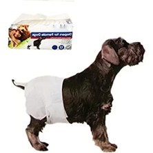 Calperia Xl Boy Dişi Yavru Köpekler Için Çiş Bezi 12 Adet