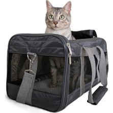 Evcil Hayvanlar Için Seyahat Taşıma Kutusu, Havayolları Tarafından Onaylanmıştır, Büyük, Antrasit