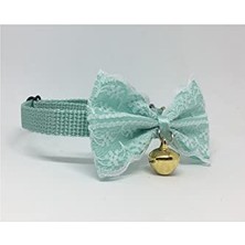 Kedi Boyun Tasması No:51