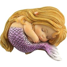 Minyatür Peri Bahçesi ve Teraryum Uyuyan Küçük Denizkızı